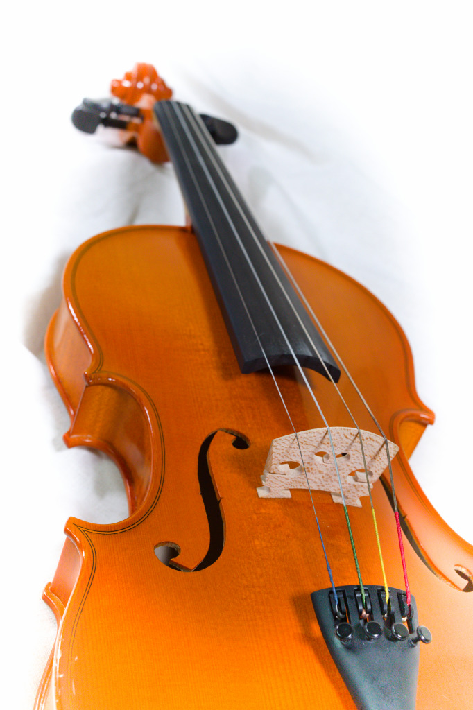 Viola - ZUŠ Rožnov pod Radhoštěm