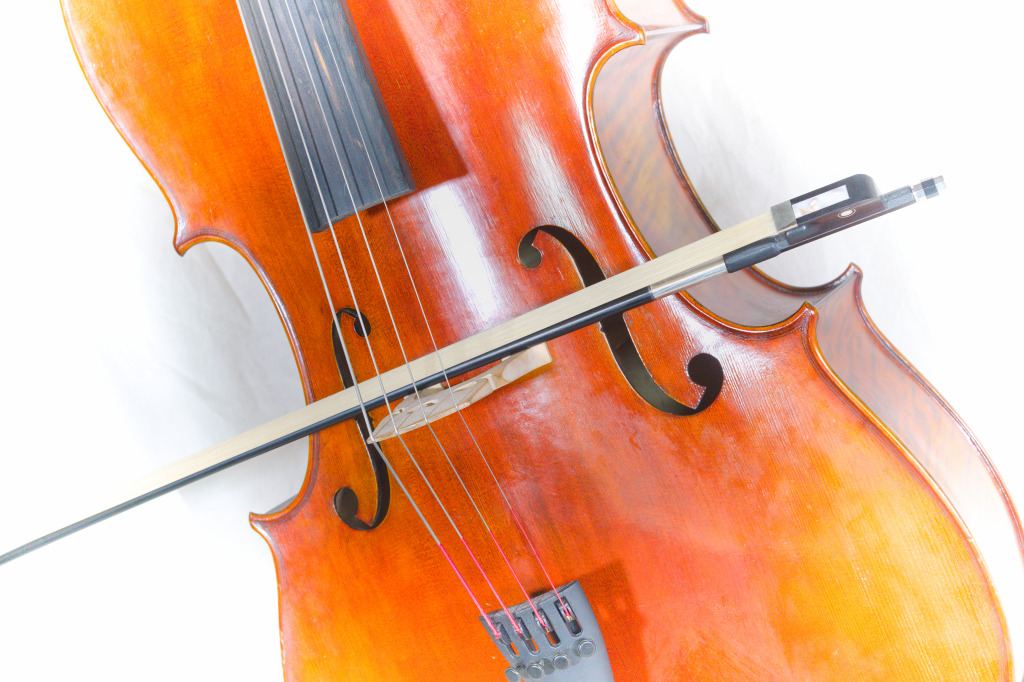Violoncello - ZUŠ Rožnov pod Radhoštěm